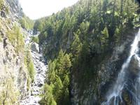 Findelbach