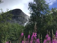 Am Briksdalsbreen