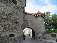 IMG 6263