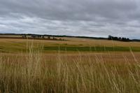 Bornholm