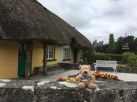 Spaziergang in Adare