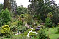 Powerscourt Gardens - Japanischer Garten