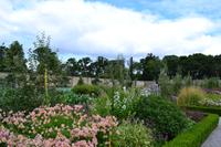 Phoenix Park - Walled Garden