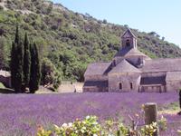 Abtei Sénanque