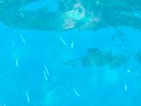 In Calanques von Cassis