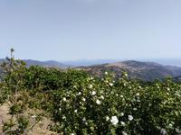 21.07.2018 Sizilien Landschaft bei Montalbano d' Elicona