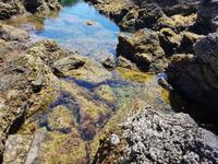 Portugal, Azoren, Terceira, Biscoitos