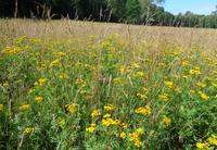 Lettland - Nationalpark Gauja 