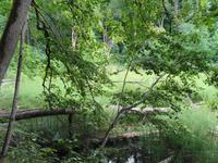 Lettland - Nationalpark Gauja 