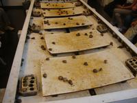 Schneckenfarm Warnant