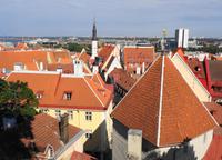 Estland - Tallinn - Panorama