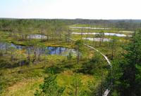 Estland - Lahemaa Nationalpark