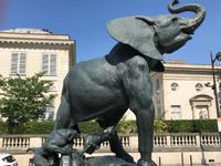 Dickes Fell Paris