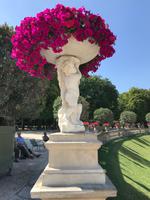 Paris zeigt Farbe