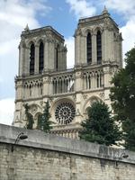 Notre Dame - ganz erhaben vom Schiff aus 