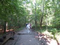 Rundreise Baltikum - Kurische Nehrung, Pfad zum Hexenberg