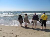 Rundreise Baltikum - Kurische Nehrung, Ostsee