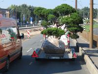 Rundreise Baltikum - Riga