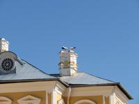 Rundreise Baltikum - Schloss Rundale