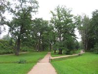 Rundreise Baltikum - Gauja-Nationalpark