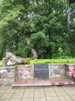 Rundreise Baltikum - Gauja-Nationalpark, Burg Turaida in Sigulda 