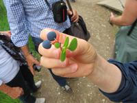 Rundreise Baltikum - Laheema-Nationalpark