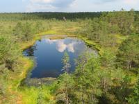Rundreise Baltikum - Laheema-Nationalpark