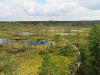 Rundreise Baltikum - Laheema-Nationalpark