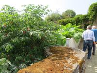 Rundreise Baltikum - Laheema-Nationalpark, Gutshaus Palmse