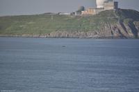 Martin Büchner - BMS Worldtravel - MS Nordnorge - Juli 2018 (17)