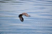 Hurtigruten - MS Nordnorge - Eberhardt-Travel - Reiseleiter Martin Büchner-1916