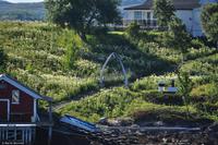 Hurtigruten - MS Nordnorge - Eberhardt-Travel - Reiseleiter Martin Büchner-8405