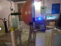 Cheverny, Tim und Struppi