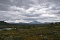 206 Dovrefjell mit Snohaetta