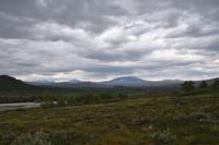 208 Dovrefjell mit Snohaetta