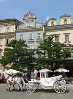 Droschki am Rynek