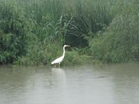 unterwegs im Donau-Delta