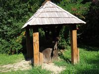 Dorfmuseum in Bukarest - Brunnen