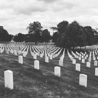 Arlington Friehof Washington