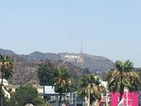 Hollywood