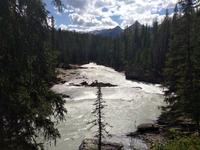 Kicking Horse River