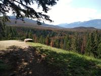 Panoramweg oberhalb des Maligne Canyons