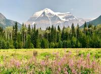 Blick auf den Mount Robson