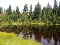 Kleiner Bergsee am Cypress Mountain