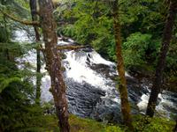 Wanderung bei Ketchikan