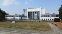 IMG 4890
