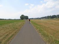 IMG 4961