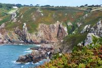 Guernsey12
