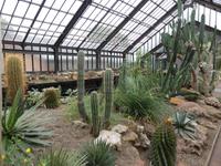 Glasgow - Botanischer Garten 