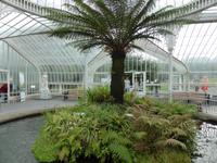 Glasgow - Botanischer Garten 